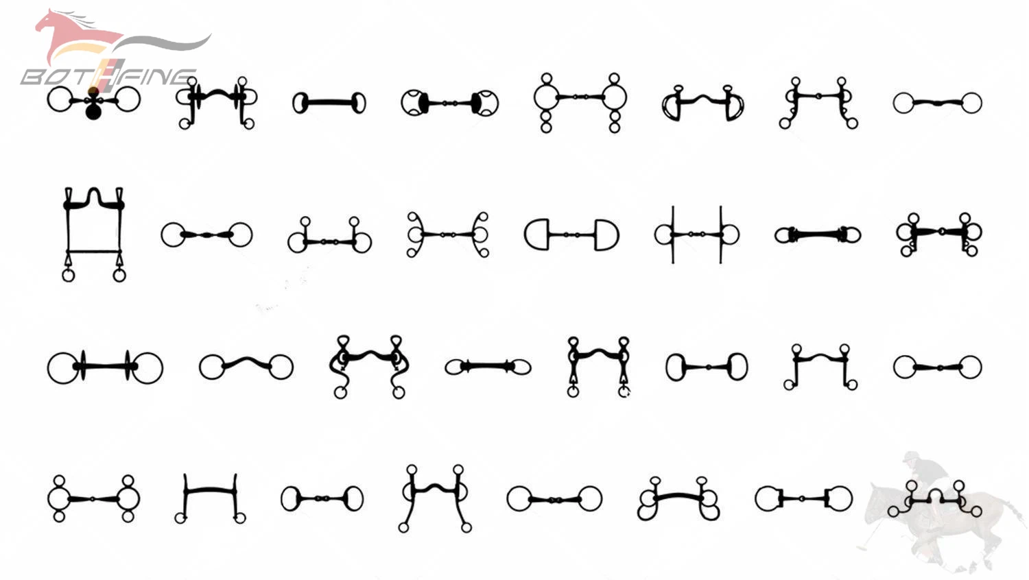 Horse bits types.jpg